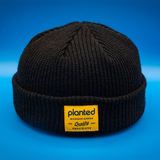 Beanie - Knit Cuff Black