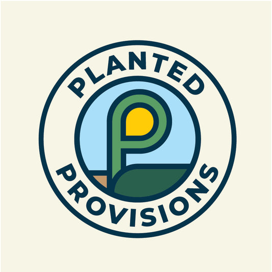 Pullover Hoodie - P Coin