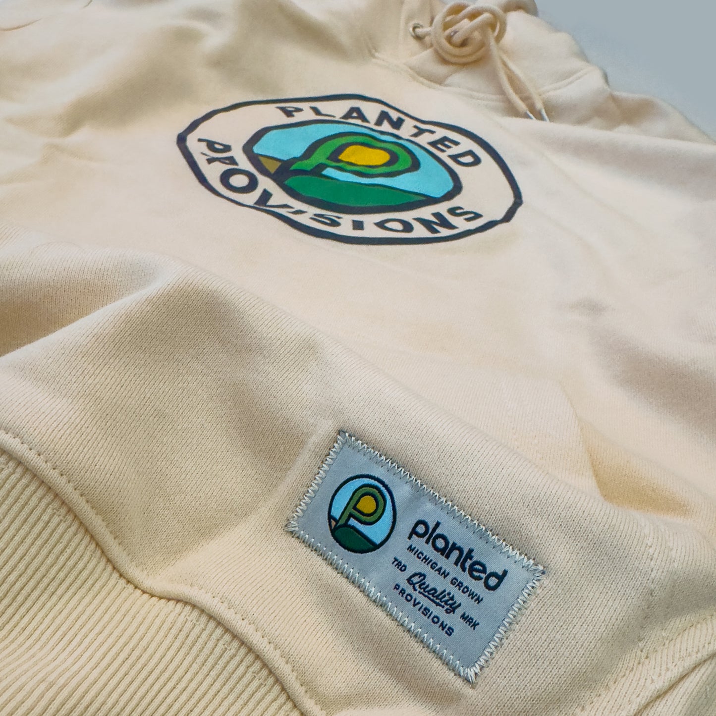 Pullover Hoodie - P Coin