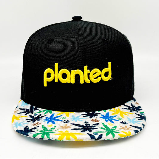 The Chronic - 6 Panel Snapback hat