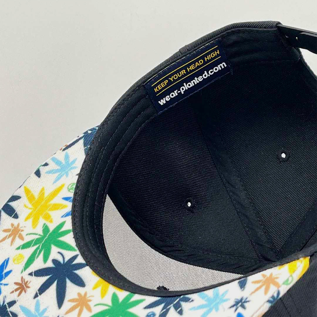 The Chronic - 6 Panel Snapback hat