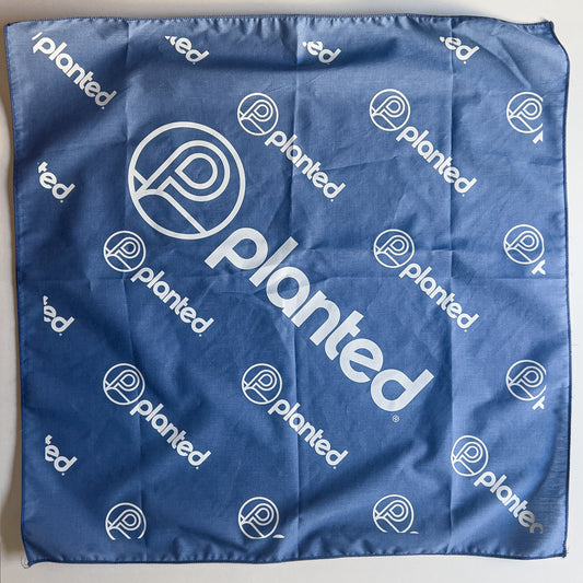 Bandana - Light Blue