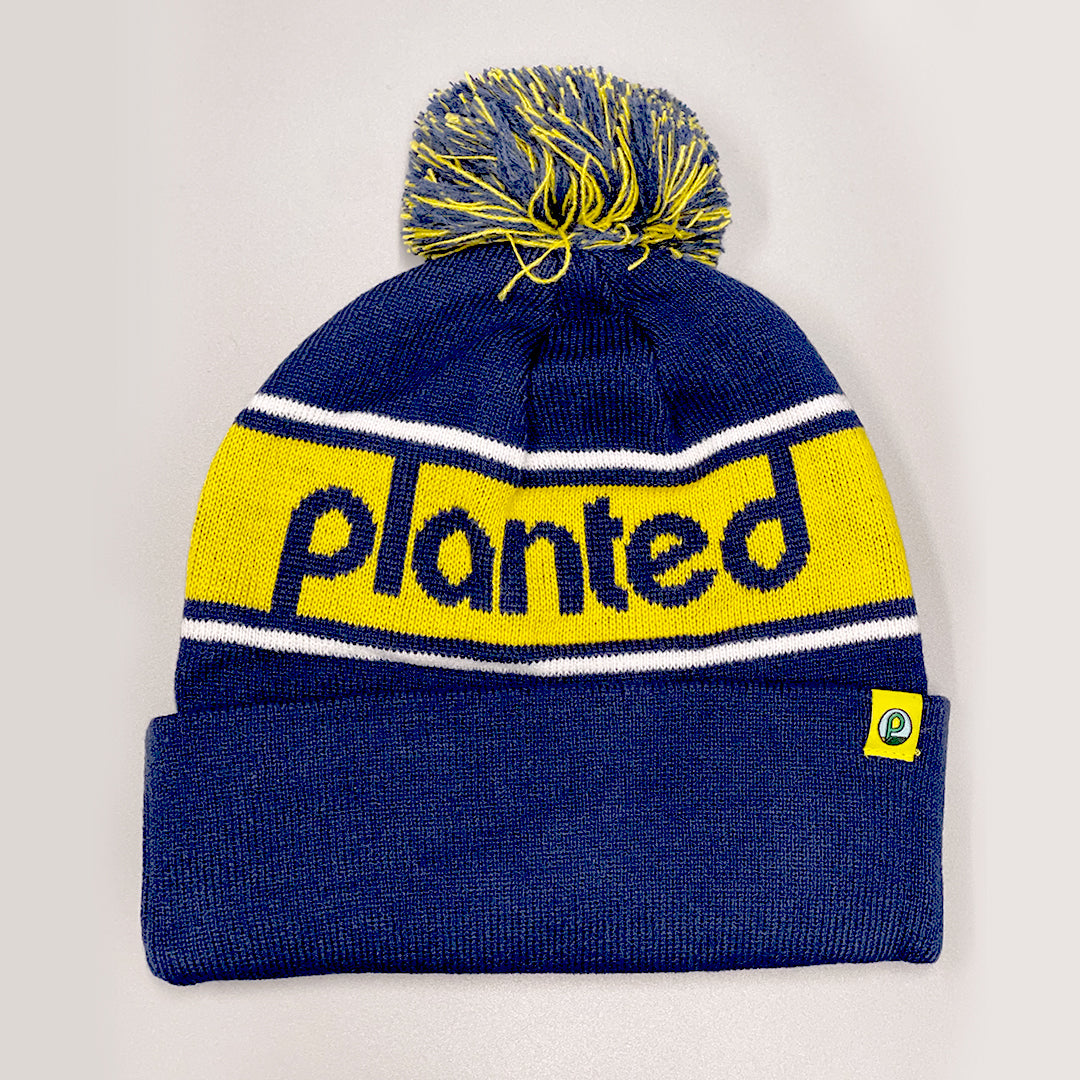 Beanie - Blue & Yellow Pompom