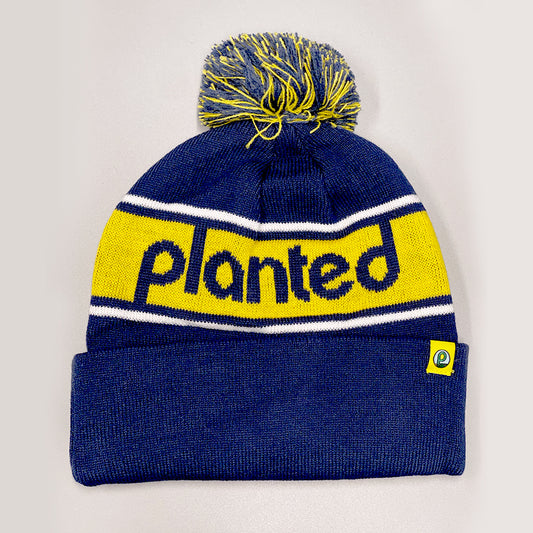 Beanie - Blue & Yellow Pompom