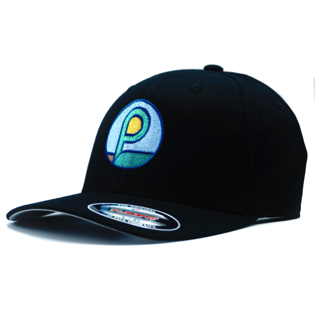 Flexfit Hat - Black Coin