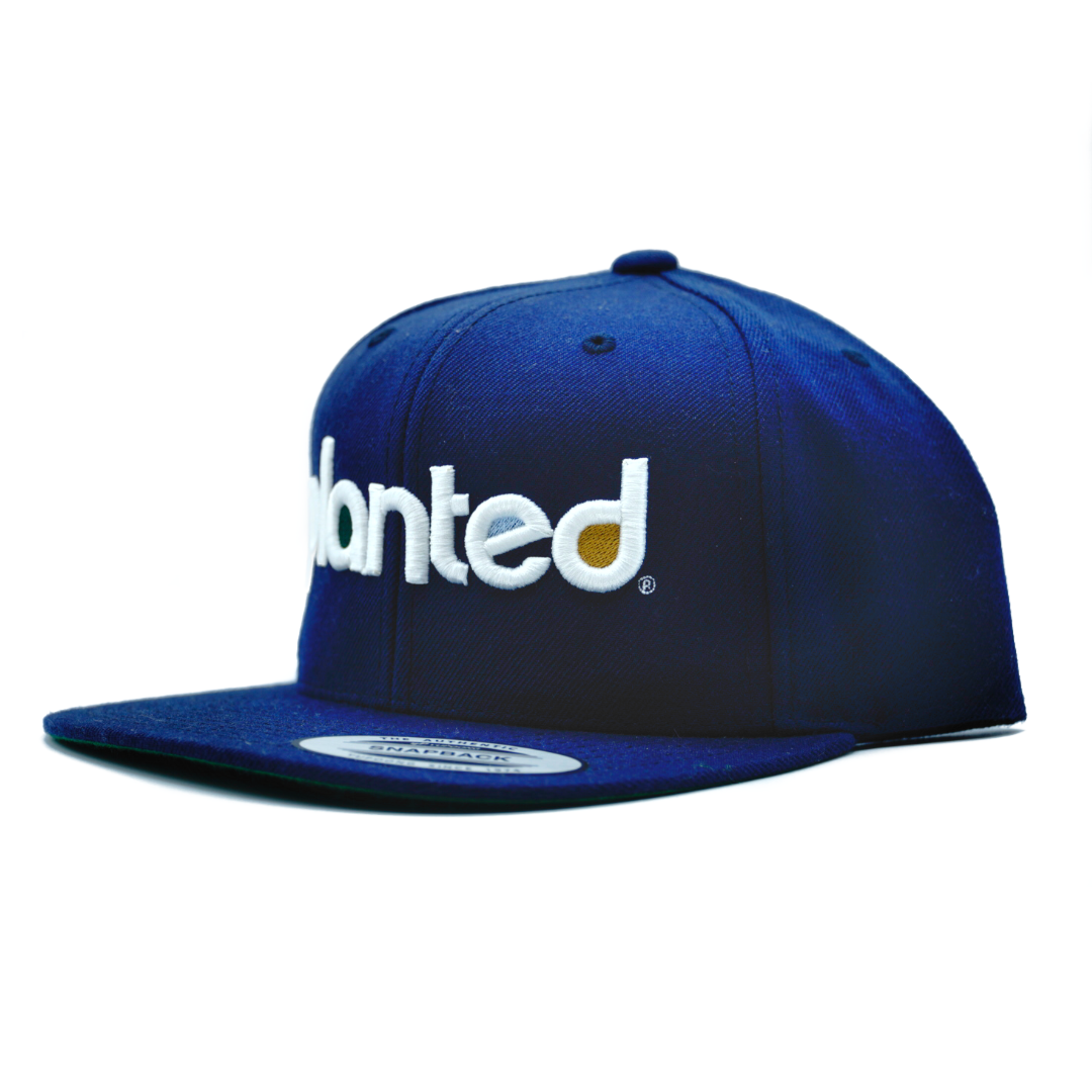 Snapback Hat - Blue Wordmark