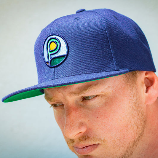 Snapback Hat - Blue Coin