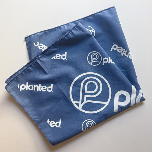 Bandana - Light Blue