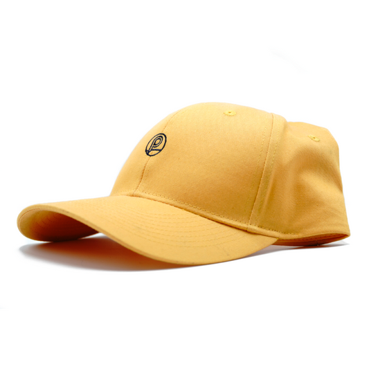 Dad Hat - Gold Coin