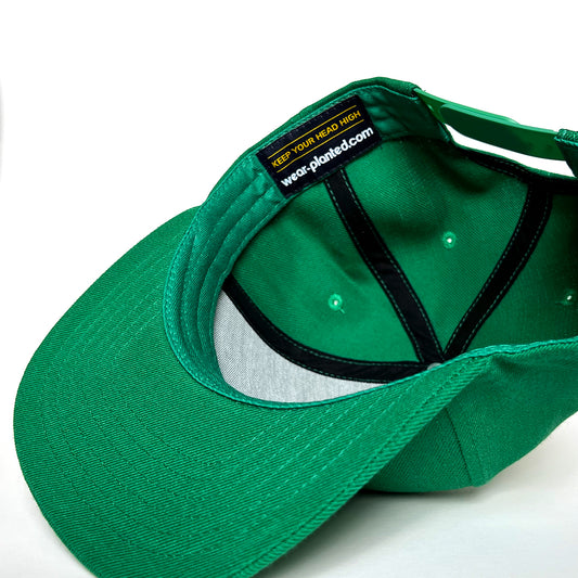 Snapback Hat - Green Simple Coin Patch